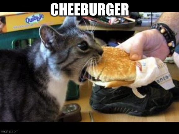 relatable | CHEEBURGER | image tagged in burger cat,funny | made w/ Imgflip meme maker