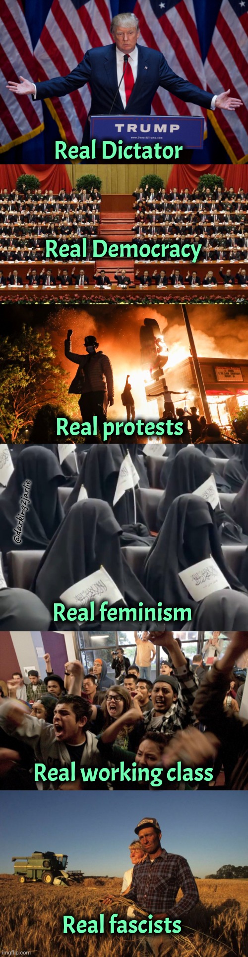 Learn the difference bigots | Real Dictator; Real Democracy; Real protests; @darking2jarlie; Real feminism; Real working class; Real fascists | image tagged in donald trump,america,liberal logic,feminism,islam,fascism | made w/ Imgflip meme maker