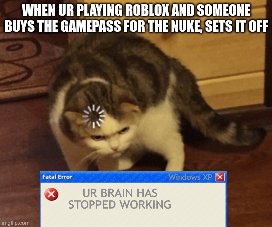 Roblox nuke all severs be like | WHEN UR PLAYING ROBLOX AND SOMEONE BUYS THE GAMEPASS FOR THE NUKE, SETS IT OFF | image tagged in lag cat,roblox,nuke,error | made w/ Imgflip meme maker