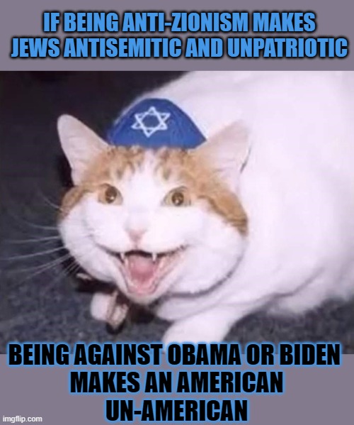 This #lolcat wonders if you can be a patriot and don't like your government | IF BEING ANTI-ZIONISM MAKES JEWS ANTISEMITIC AND UNPATRIOTIC; BEING AGAINST OBAMA OR BIDEN 
MAKES AN AMERICAN
UN-AMERICAN | image tagged in double standards,lolcat,antisemitism,stupid people,judaism,patriotism | made w/ Imgflip meme maker