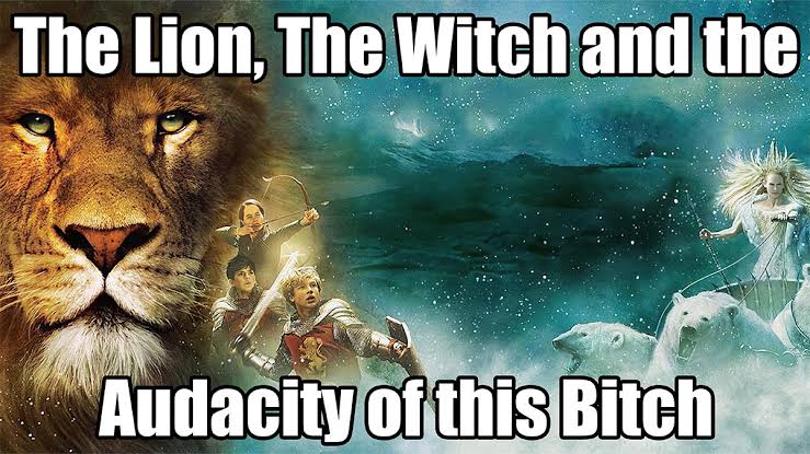 The Lion, The Witch and the Audacity of this Bitch Blank Meme Template