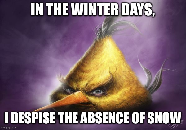 Realistic Chuck | IN THE WINTER DAYS, I DESPISE THE ABSENCE OF SNOW | image tagged in realistic chuck | made w/ Imgflip meme maker