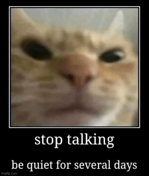 Stop talking, be quiet for several days | image tagged in stop talking be quiet for several days | made w/ Imgflip meme maker