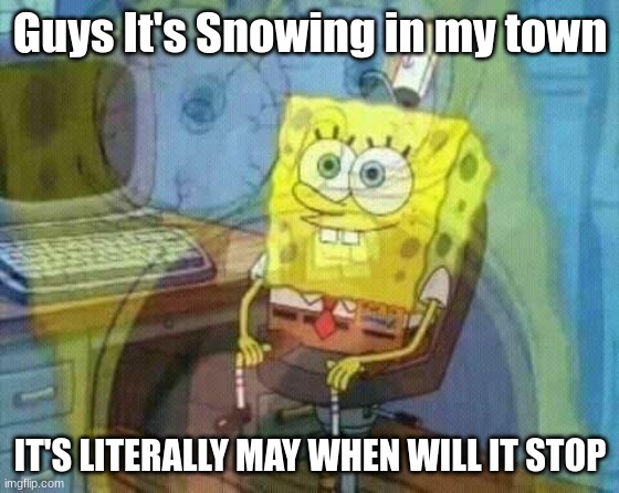 WHY!!!!!!!!!!!!!!!!!!! | Guys It's Snowing in my town; IT'S LITERALLY MAY WHEN WILL IT STOP | image tagged in spongebob panic inside,snow | made w/ Imgflip meme maker