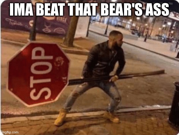 Guy holding stop sign | IMA BEAT THAT BEAR'S ASS | image tagged in guy holding stop sign | made w/ Imgflip meme maker