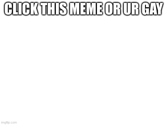 Blank White Template | CLICK THIS MEME OR UR GAY | image tagged in blank white template | made w/ Imgflip meme maker