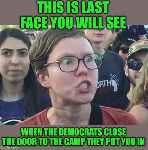 Yep just the facts | THIS IS LAST FACE YOU WILL SEE; WHEN THE DEMOCRATS CLOSE THE DOOR TO THE CAMP THEY PUT YOU IN | image tagged in triggered liberal,democrats | made w/ Imgflip meme maker