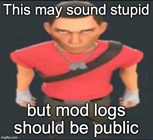 Scout stare | This may sound stupid; but mod logs should be public | image tagged in scout stare | made w/ Imgflip meme maker