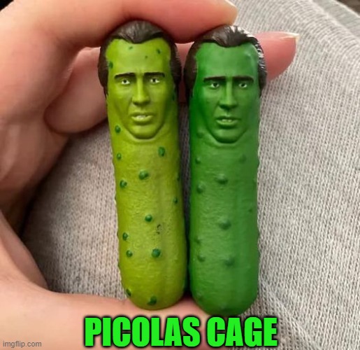 I'm not a pickle, I'm a lizard, a shark, a heat-seeking panther | PICOLAS CAGE | image tagged in vince vance,memes,nicholas cage,cartoons,miniature,pickles | made w/ Imgflip meme maker
