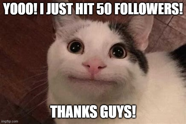Cool achevments! | YOOO! I JUST HIT 50 FOLLOWERS! THANKS GUYS! | image tagged in polite cat | made w/ Imgflip meme maker