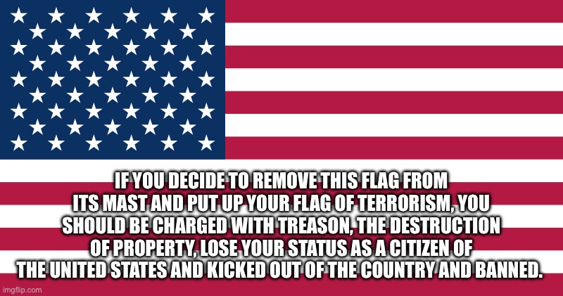 My brain has entered stupid mode today so it may sound as if a child made this. | IF YOU DECIDE TO REMOVE THIS FLAG FROM ITS MAST AND PUT UP YOUR FLAG OF TERRORISM, YOU SHOULD BE CHARGED WITH TREASON, THE DESTRUCTION OF PROPERTY, LOSE YOUR STATUS AS A CITIZEN OF THE UNITED STATES AND KICKED OUT OF THE COUNTRY AND BANNED. | made w/ Imgflip meme maker