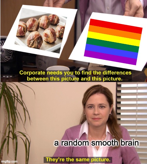 No diff | a random smooth brain | image tagged in memes,they're the same picture | made w/ Imgflip meme maker