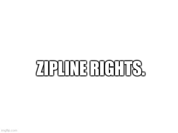 ball rights | ZIPLINE RIGHTS. | image tagged in balls,poop,farts,zipline | made w/ Imgflip meme maker