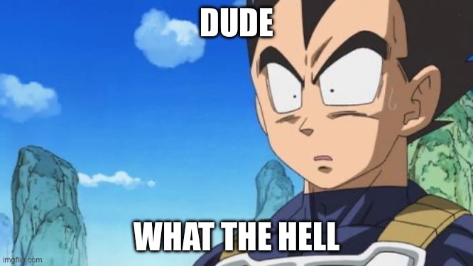 Surprized Vegeta Meme | DUDE WHAT THE HELL | image tagged in memes,surprized vegeta | made w/ Imgflip meme maker