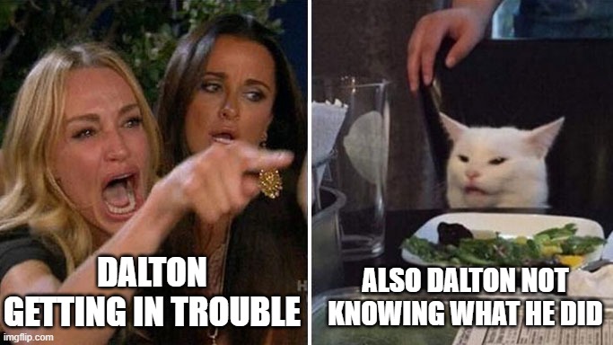 Angry lady cat | DALTON GETTING IN TROUBLE; ALSO DALTON NOT KNOWING WHAT HE DID | image tagged in angry lady cat | made w/ Imgflip meme maker