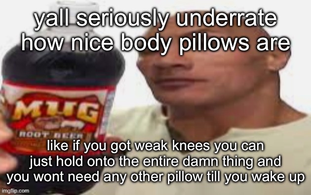 lemme preface this by saying im not talking ab anime body pillows | yall seriously underrate how nice body pillows are; like if you got weak knees you can just hold onto the entire damn thing and you wont need any other pillow till you wake up | image tagged in the rock mug root beer | made w/ Imgflip meme maker