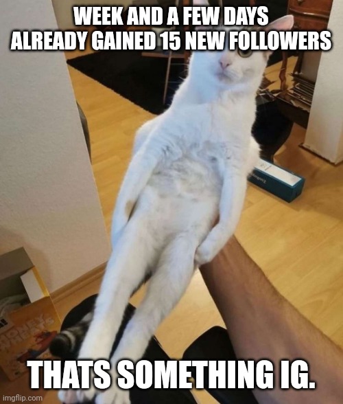 i'm sure other people on this site gained more quicker than me but for me its something. | WEEK AND A FEW DAYS ALREADY GAINED 15 NEW FOLLOWERS; THATS SOMETHING IG. | image tagged in this car think he a chicken | made w/ Imgflip meme maker