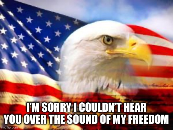 American Flag | I’M SORRY I COULDN’T HEAR YOU OVER THE SOUND OF MY FREEDOM | image tagged in american flag | made w/ Imgflip meme maker