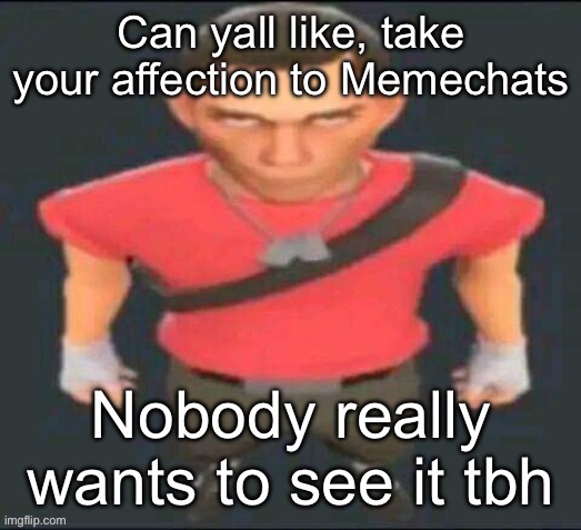 @Any ships on msmg | Can yall like, take your affection to Memechats; Nobody really wants to see it tbh | image tagged in scout stare | made w/ Imgflip meme maker