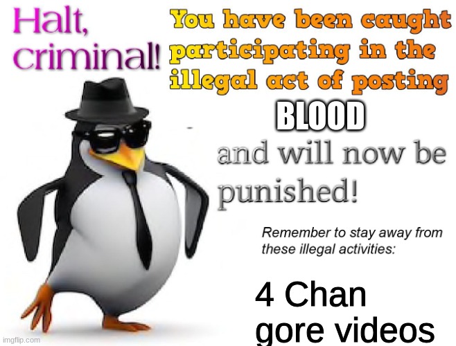 halt criminal! | BLOOD 4 Chan gore videos | image tagged in halt criminal | made w/ Imgflip meme maker