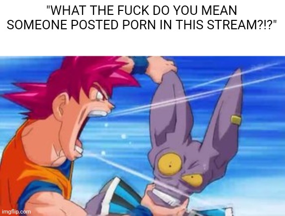 "WHAT THE FUCK DO YOU MEAN SOMEONE POSTED PORN IN THIS STREAM?!?" | made w/ Imgflip meme maker