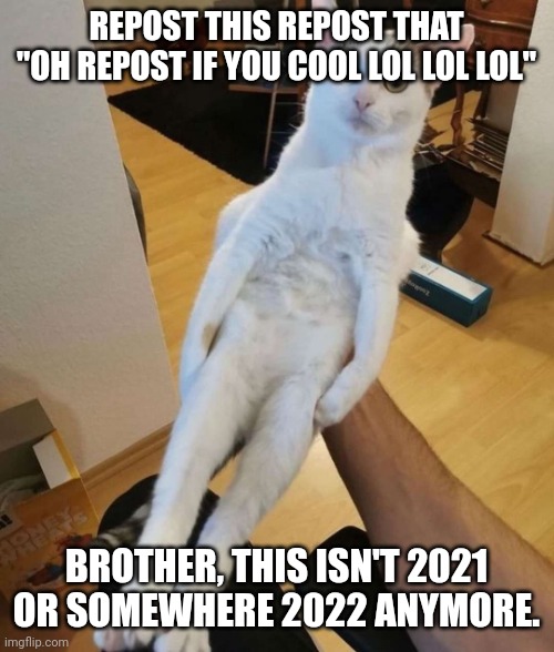 idk why i just find it a bit annoying | REPOST THIS REPOST THAT
"OH REPOST IF YOU COOL LOL LOL LOL"; BROTHER, THIS ISN'T 2021 OR SOMEWHERE 2022 ANYMORE. | image tagged in this car think he a chicken | made w/ Imgflip meme maker