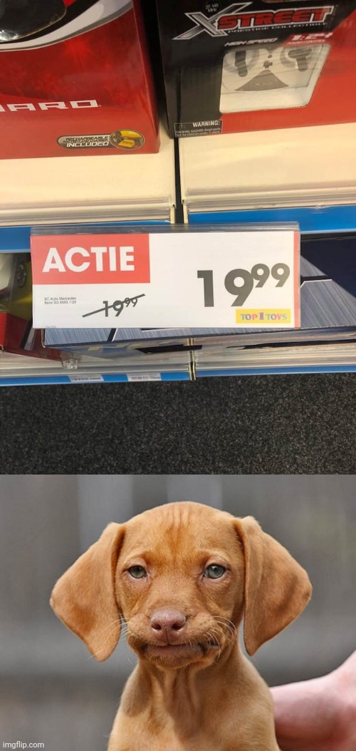 Still literally just the same price | image tagged in disappointed puppy,price,prices,memes,you had one job,sale | made w/ Imgflip meme maker