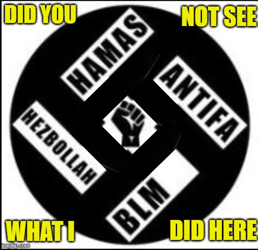 Identical only different | NOT SEE; DID YOU; WHAT I; DID HERE | image tagged in nazi,terrorists,antifa,blm,israel,palestine | made w/ Imgflip meme maker