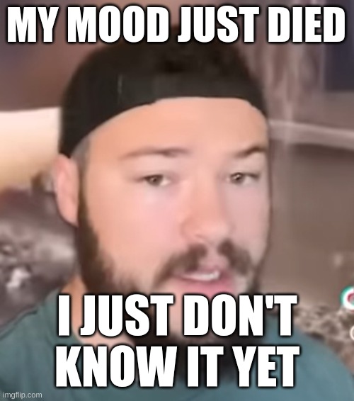 IDKsterling | MY MOOD JUST DIED; I JUST DON'T KNOW IT YET | image tagged in idksterling | made w/ Imgflip meme maker