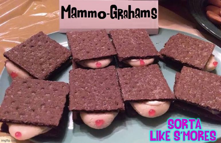 Vinnie Recipes: Food for Every Occasion | SORTA LIKE S'MORES | image tagged in vince vance,graham crackers,s'mores,mammogram,memes,cookies | made w/ Imgflip meme maker