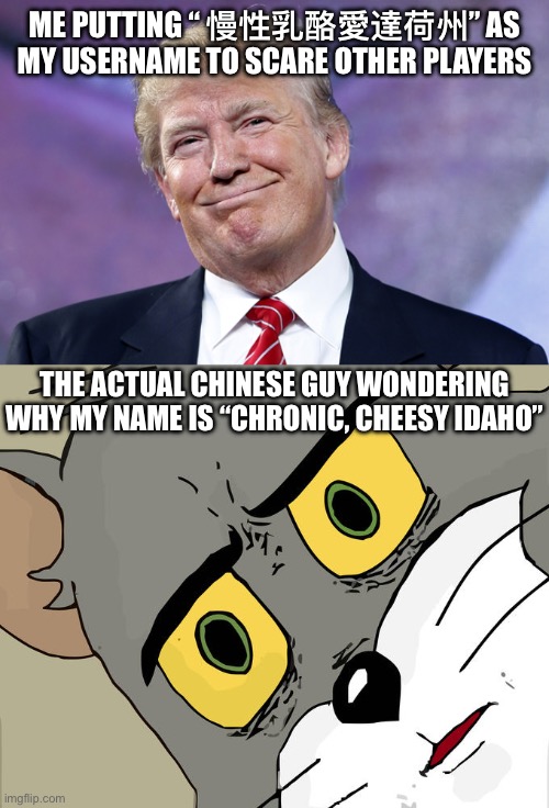 They must be so damn confused all the time | ME PUTTING “ 慢性乳酪愛達荷州” AS MY USERNAME TO SCARE OTHER PLAYERS; THE ACTUAL CHINESE GUY WONDERING WHY MY NAME IS “CHRONIC, CHEESY IDAHO” | image tagged in donald trump smirk,memes,unsettled tom | made w/ Imgflip meme maker