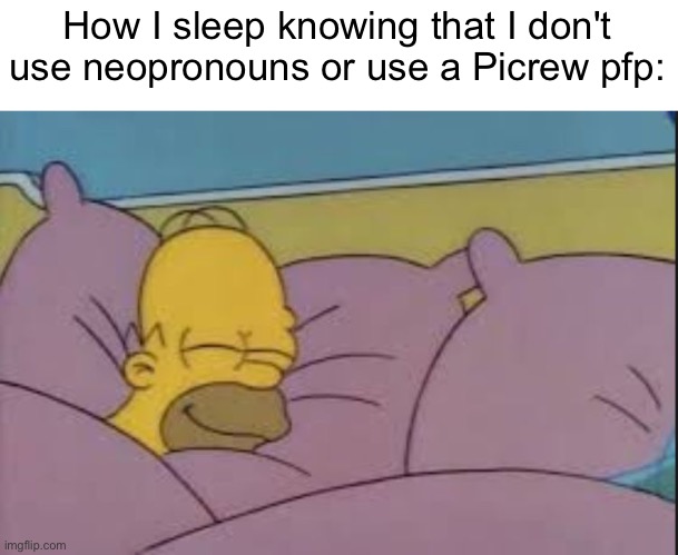 how i sleep homer simpson | How I sleep knowing that I don't use neopronouns or use a Picrew pfp: | image tagged in how i sleep homer simpson | made w/ Imgflip meme maker