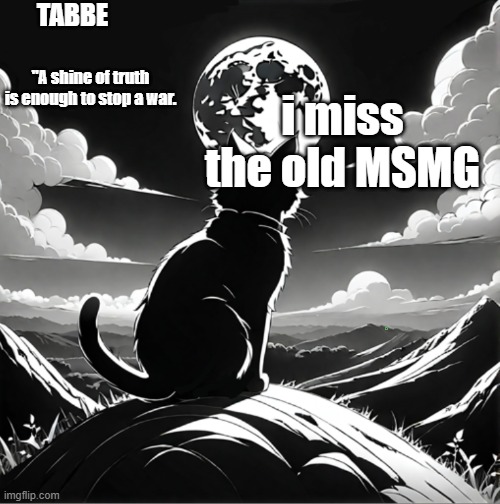 spire drama was the shit | i miss the old MSMG | image tagged in tabbe moon cat temp thing | made w/ Imgflip meme maker