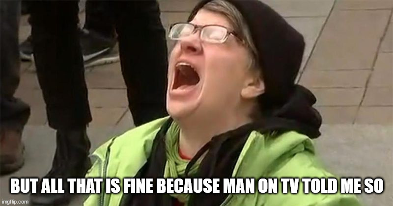 crying liberal | BUT ALL THAT IS FINE BECAUSE MAN ON TV TOLD ME SO | image tagged in crying liberal | made w/ Imgflip meme maker