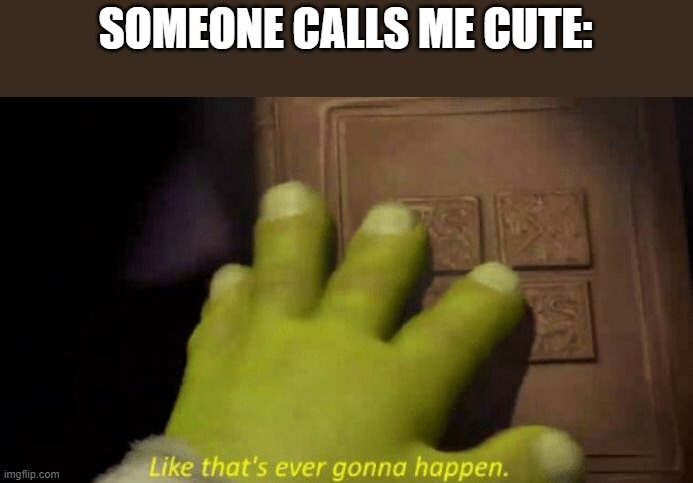 Like that's ever gonna happen. | SOMEONE CALLS ME CUTE: | image tagged in like that's ever gonna happen | made w/ Imgflip meme maker