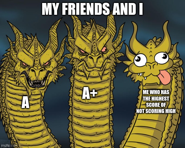 idiot | MY FRIENDS AND I; A+; ME WHO HAS THE HIGHEST SCORE OF NOT SCORING HIGH; A | image tagged in three-headed dragon | made w/ Imgflip meme maker