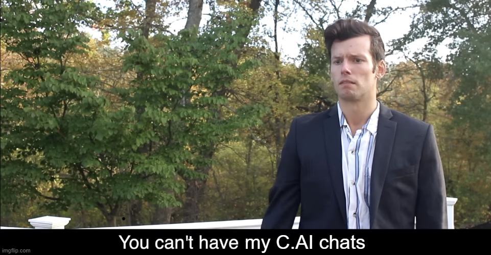 you'll never take me alive | my C.AI chats | image tagged in you can t have friends anymore | made w/ Imgflip meme maker