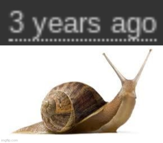image tagged in snail | made w/ Imgflip meme maker