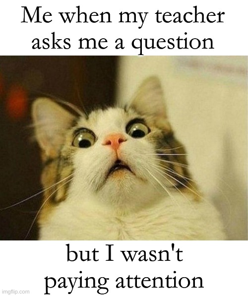 *que dramtic music* making a very doomed face | Me when my teacher asks me a question; but I wasn't paying attention | image tagged in memes,scared cat,class,meme,so true memes | made w/ Imgflip meme maker