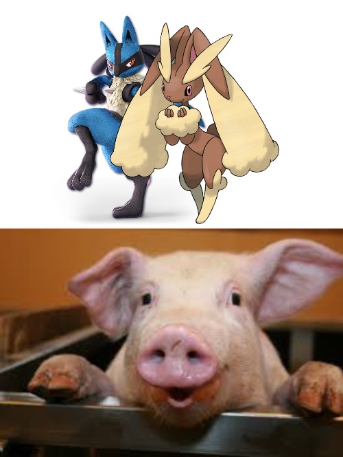 Happy Pig loves Lucario and Lopunny as a couple | image tagged in happy pig | made w/ Imgflip meme maker