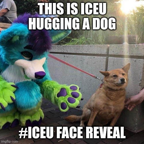 Hey guys this is iceu IRL | THIS IS ICEU HUGGING A DOG; #ICEU FACE REVEAL | image tagged in dog afraid of furry | made w/ Imgflip meme maker