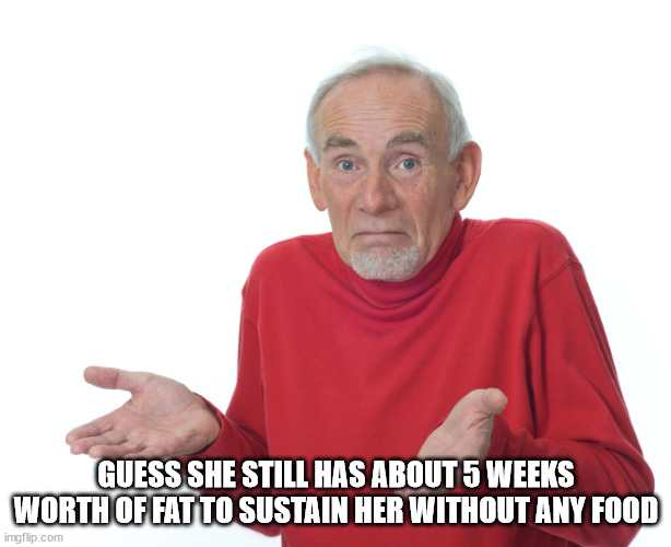 guess ill die | GUESS SHE STILL HAS ABOUT 5 WEEKS WORTH OF FAT TO SUSTAIN HER WITHOUT ANY FOOD | image tagged in guess ill die | made w/ Imgflip meme maker