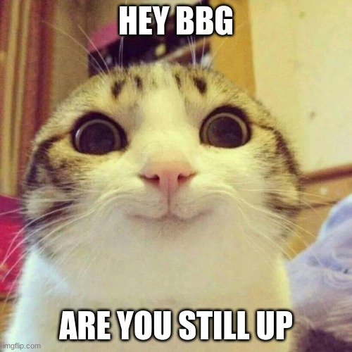 Smiling Cat | HEY BBG; ARE YOU STILL UP | image tagged in memes,smiling cat | made w/ Imgflip meme maker