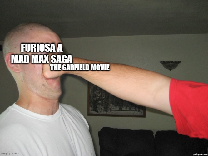 don't watch furiosa go watch the garfield movie | FURIOSA A MAD MAX SAGA; THE GARFIELD MOVIE | image tagged in face punch,garfield,prediction | made w/ Imgflip meme maker