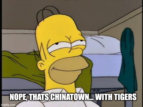 Homer satisfied | NOPE, THATS CHINATOWN... WITH TIGERS | image tagged in homer satisfied | made w/ Imgflip meme maker