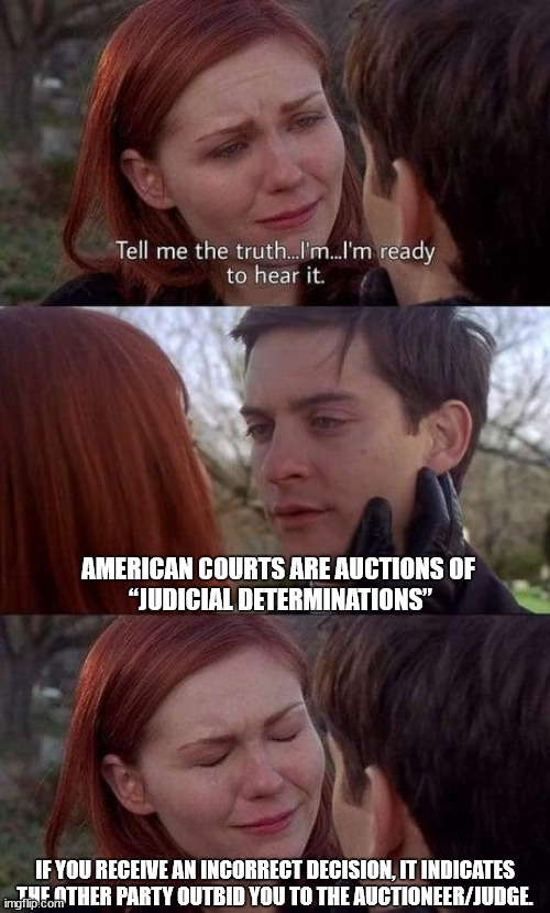 American auctioneers | AMERICAN COURTS ARE AUCTIONS OF 
“JUDICIAL DETERMINATIONS”; IF YOU RECEIVE AN INCORRECT DECISION, IT INDICATES THE OTHER PARTY OUTBID YOU TO THE AUCTIONEER/JUDGE. | image tagged in tell me the truth i'm ready to hear it,judge,court,courtroom,law | made w/ Imgflip meme maker