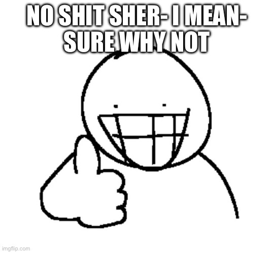 Doodle thumb up | NO SHIT SHER- I MEAN-
SURE WHY NOT | image tagged in doodle thumb up | made w/ Imgflip meme maker