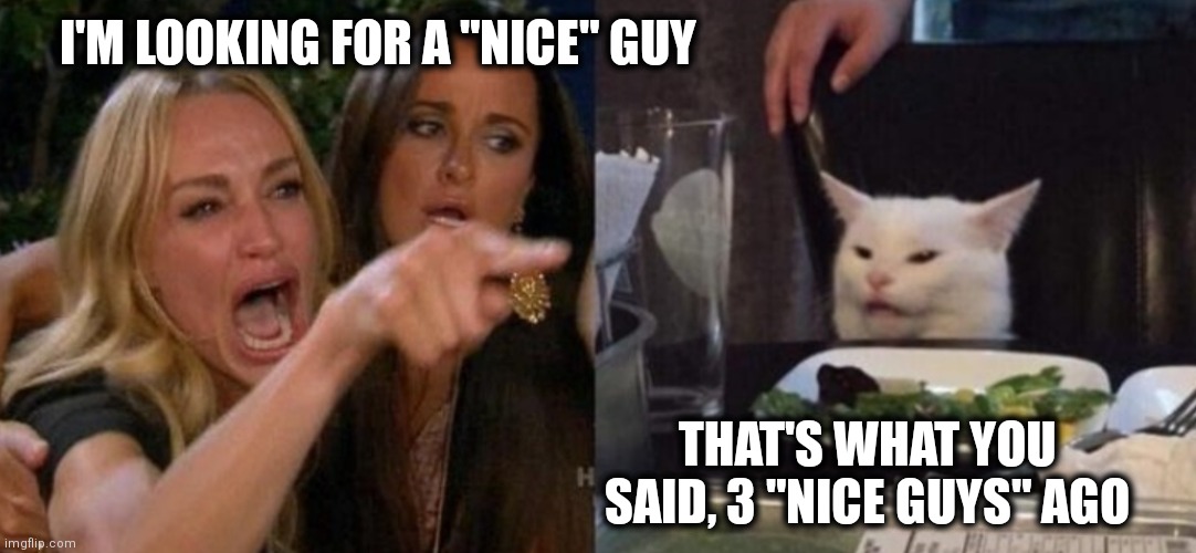 Used nice guys | I'M LOOKING FOR A "NICE" GUY; THAT'S WHAT YOU SAID, 3 "NICE GUYS" AGO | image tagged in smudge and karen | made w/ Imgflip meme maker