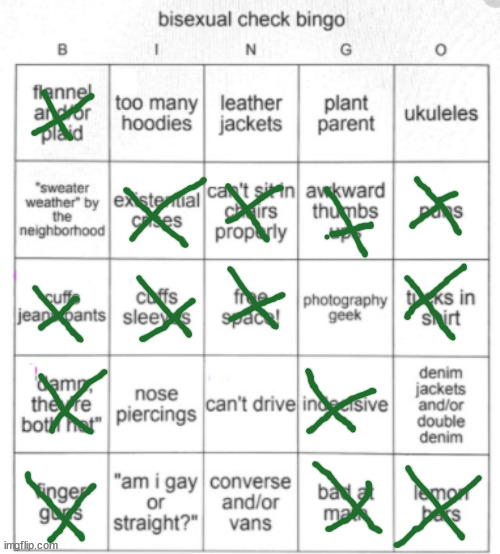 1 bingo | image tagged in bisexual bingo | made w/ Imgflip meme maker