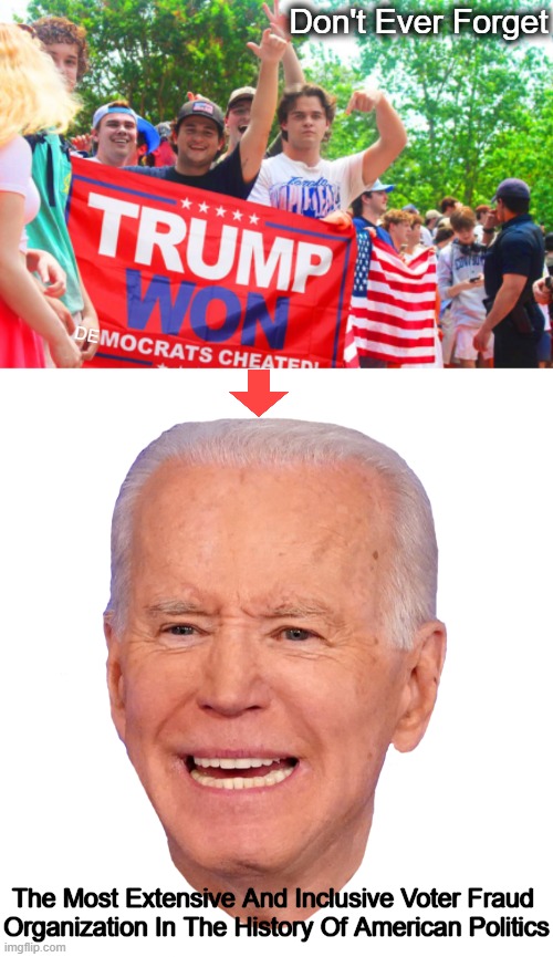 Let's make sure they don't cheat again! | Don't Ever Forget; DE; The Most Extensive And Inclusive Voter Fraud 
Organization In The History Of American Politics | image tagged in joe biden,donald trump,facts,mules,stats,evidence | made w/ Imgflip meme maker